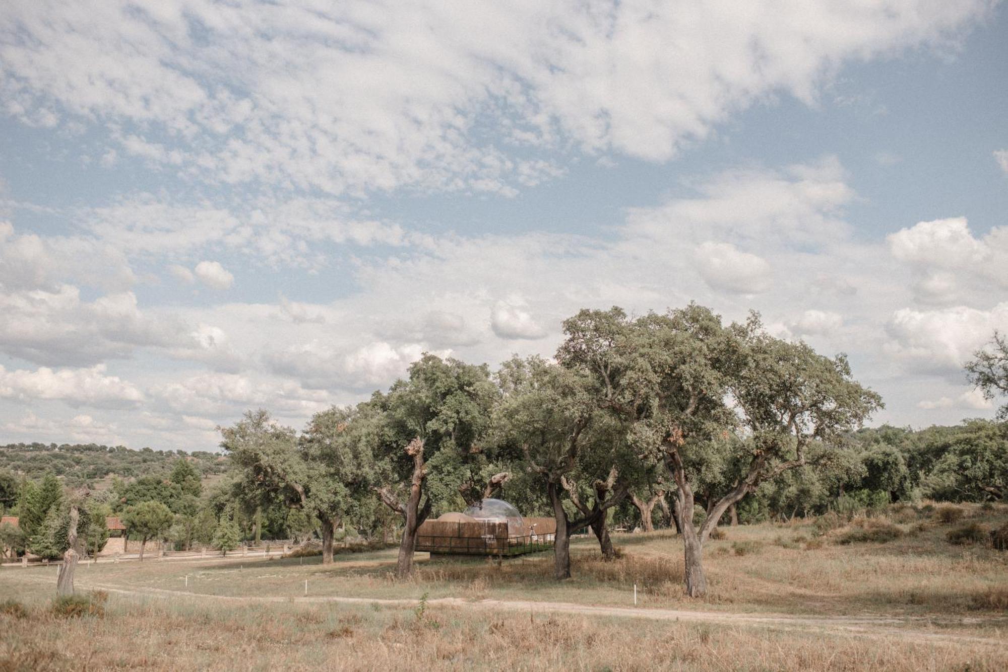 Finca El Cortinal Valencia de Alcántara Zewnętrze zdjęcie