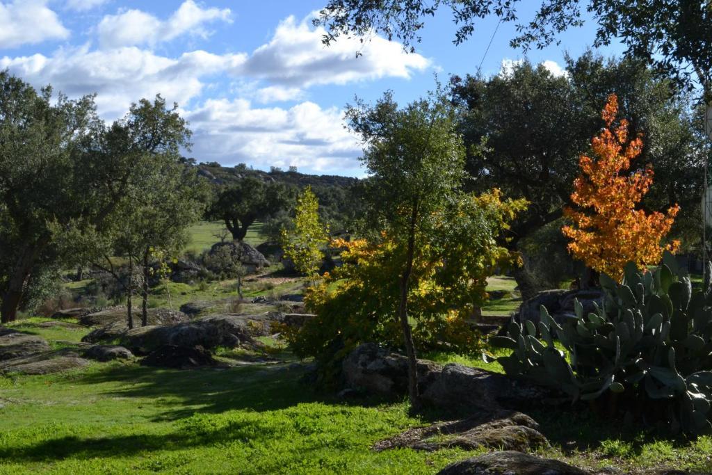 Finca El Cortinal Valencia de Alcántara Pokój zdjęcie